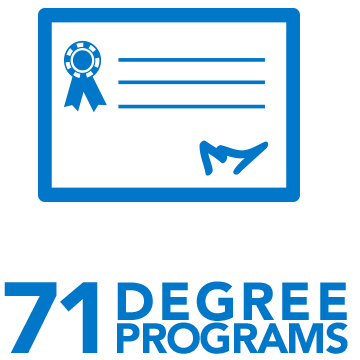 38 undergraduate degrees offered