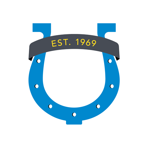 55th anniversary logo version 2