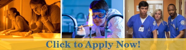 Click to Apply Now