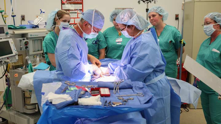Hospital-hosted simulated surgery offers nursing students interprofessional education experience