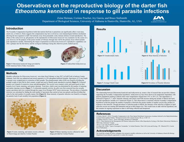 Observations on hte reproductive biology of the darter fish Etheostoma kennicotti in response to gill parasite infections