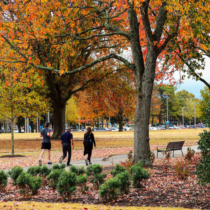 UAH Fall break people walking