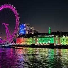 8a-Pam-Emmerich-London-Eye-at-Christmas-