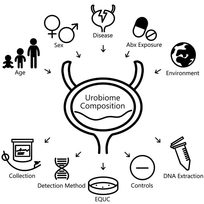 Advanced culturing techniques and DNA sequencing reveal that bacteria and other microbes inhabit the human bladder and urinary tract in children, comprising the pediatric urobiome.